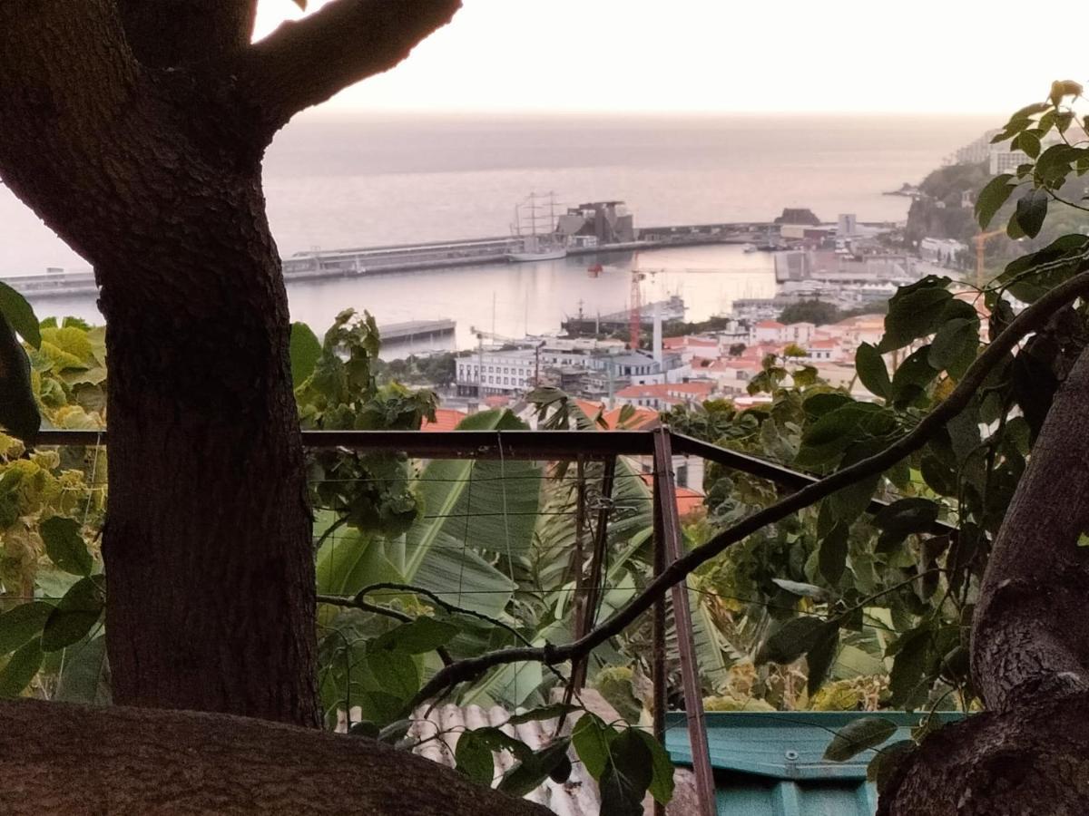 Quintinha Dos Reis Vila Funchal  Exterior foto